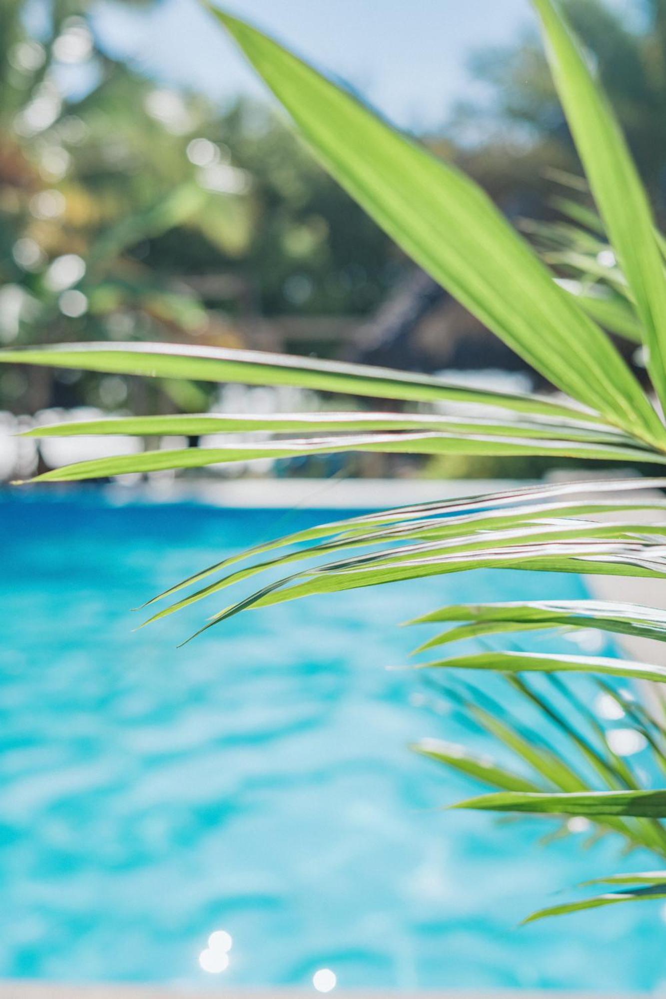 Bella Vista Resort Zanzibar Kizimkazi Luaran gambar